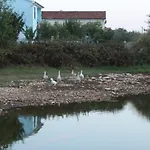 Barbic