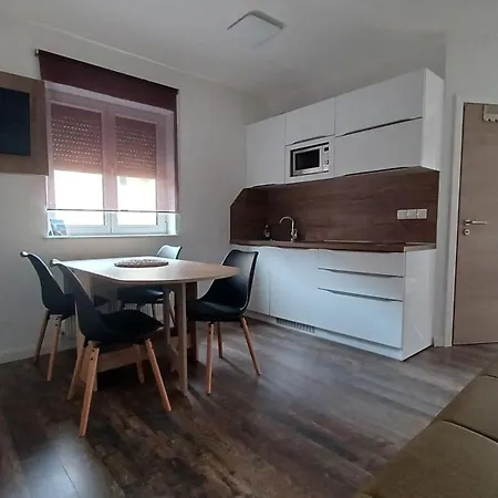 Apartmán Barbic Medulin