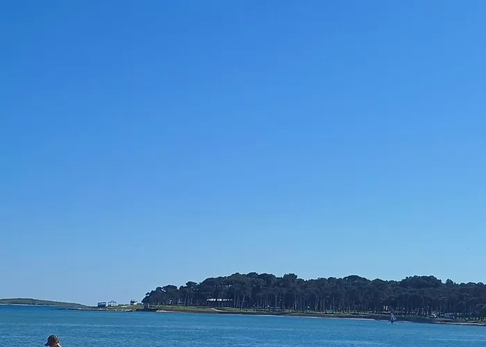 아파트 Barbic 메덜린